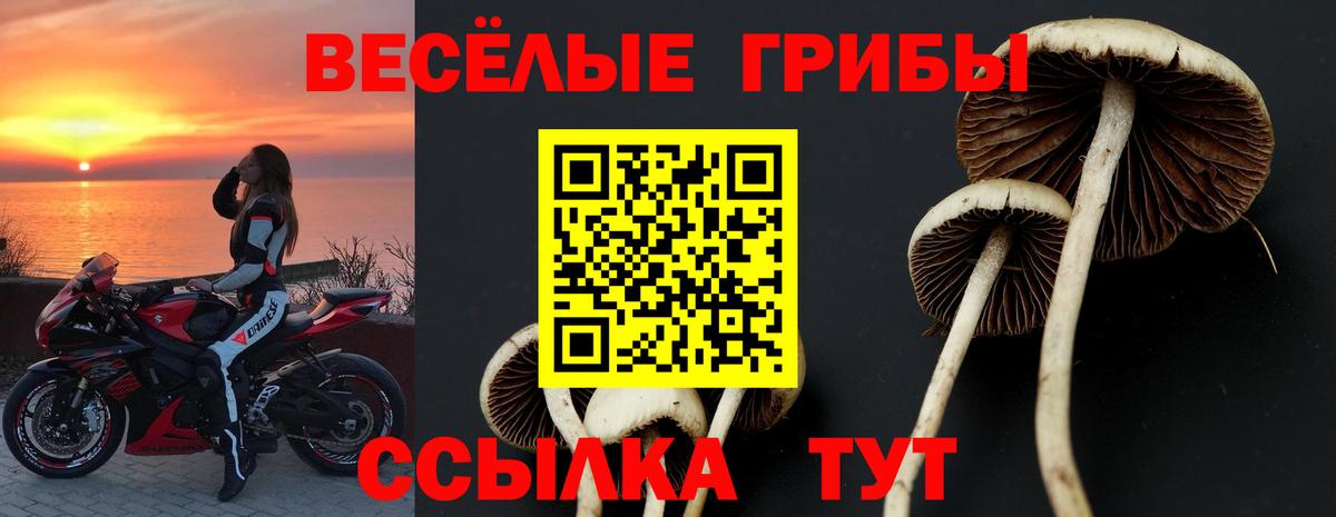 Псилоцибиновые грибы ЛСД  Вход с VPN  Лениногорск 